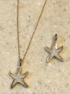 Starfish with Howlite